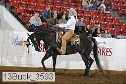 13buck_3593 proof