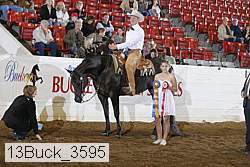 13buck_3595 proof