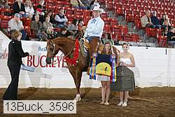 13buck_3596 proof