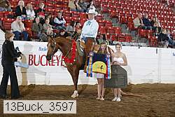 13buck_3597 proof