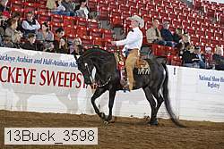 13buck_3598 proof