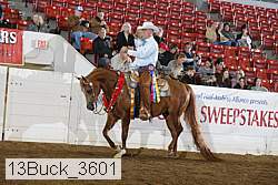 13buck_3601 proof