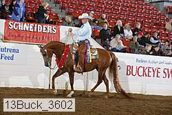 13buck_3602 proof