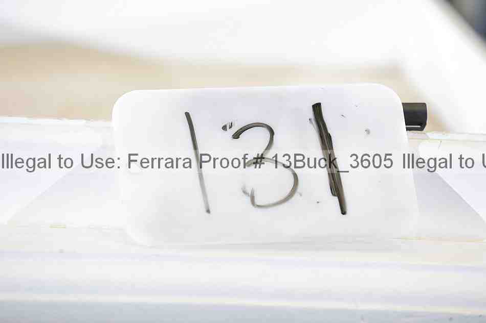 Proof 13buck_3605