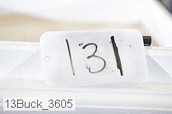 13buck_3605 proof
