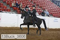 13buck_3606 proof