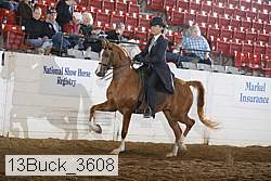 13buck_3608 proof