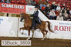 13buck_3609 proof