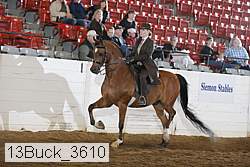 13buck_3610 proof