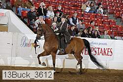13buck_3612 proof