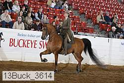 13buck_3614 proof