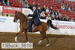13buck_3618 proof
