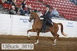 13buck_3619 proof