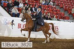 13buck_3620 proof