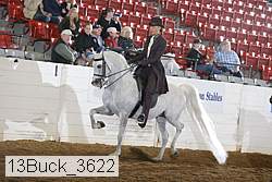 13buck_3622 proof