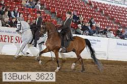 13buck_3623 proof