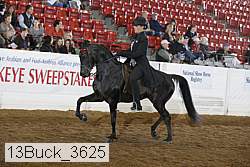 13buck_3625 proof