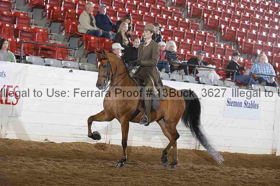 Proof 13buck_3627