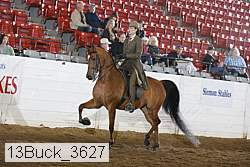 13buck_3627 proof
