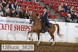 13buck_3628 proof