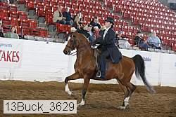 13buck_3629 proof