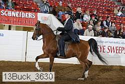 13buck_3630 proof