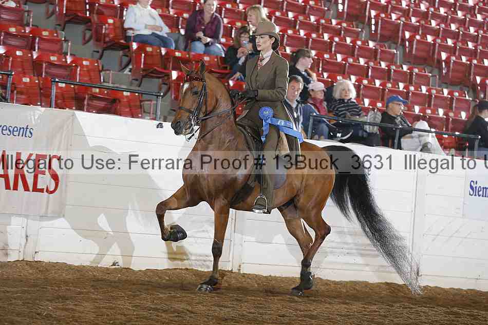 Proof 13buck_3631