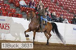 13buck_3631 proof