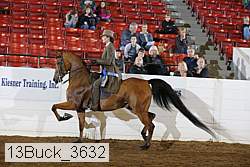 13buck_3632 proof