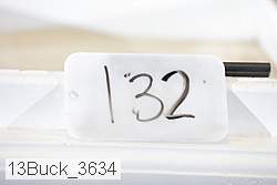 13buck_3634 proof
