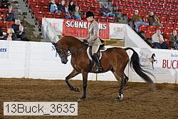 13buck_3635 proof