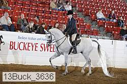 13buck_3636 proof