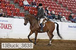 13buck_3638 proof