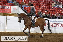 13buck_3639 proof