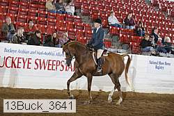 13buck_3641 proof