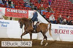 13buck_3642 proof