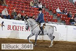 13buck_3646 proof