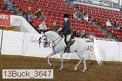 13buck_3647 proof