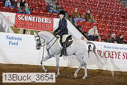 13buck_3654 proof