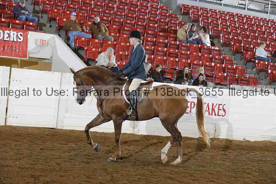 Proof 13buck_3655