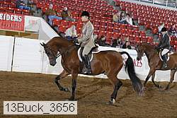 13buck_3656 proof