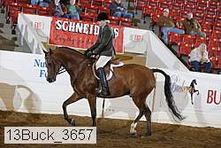 13buck_3657 proof