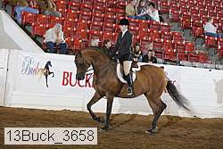 13buck_3658 proof