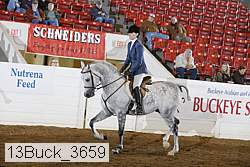 13buck_3659 proof