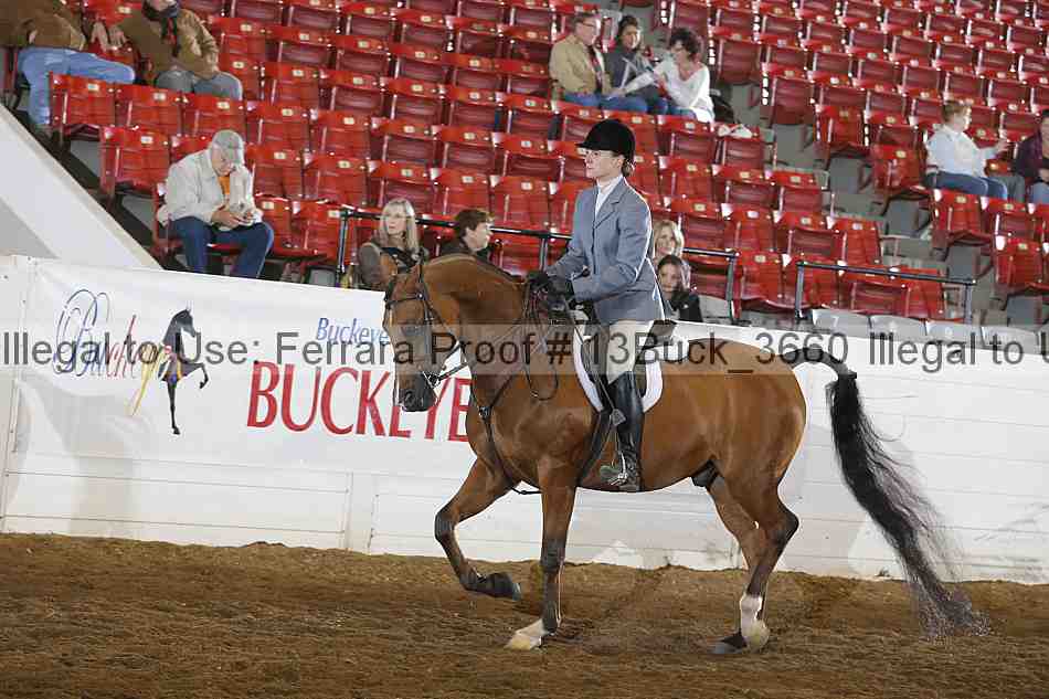Proof 13buck_3660