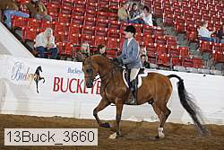 13buck_3660 proof