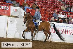 13buck_3661 proof