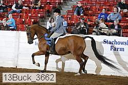 13buck_3662 proof