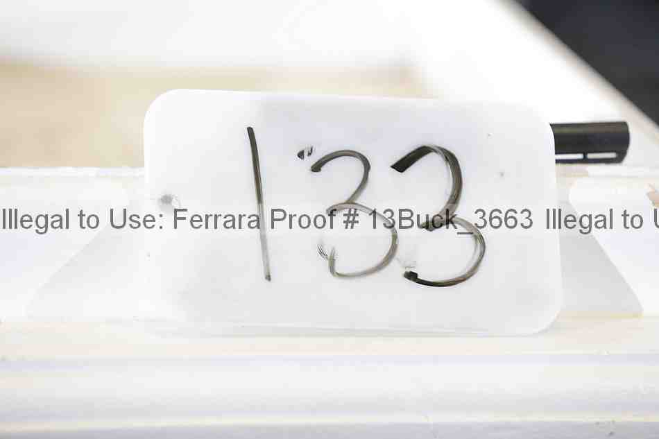 Proof 13buck_3663
