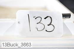 13buck_3663 proof